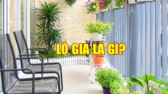 Lô Gia Là Gì? Mốt số đặc điểm thiết kế đặc biệt của Logia
